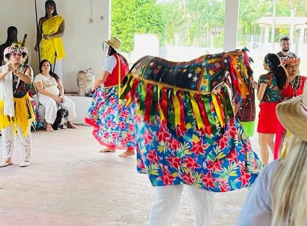 Projeto Boi do Joãozinho